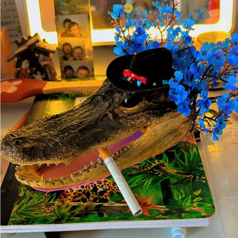 Decorative Alligator Head customized by myself. Her name is Charlene 🐊